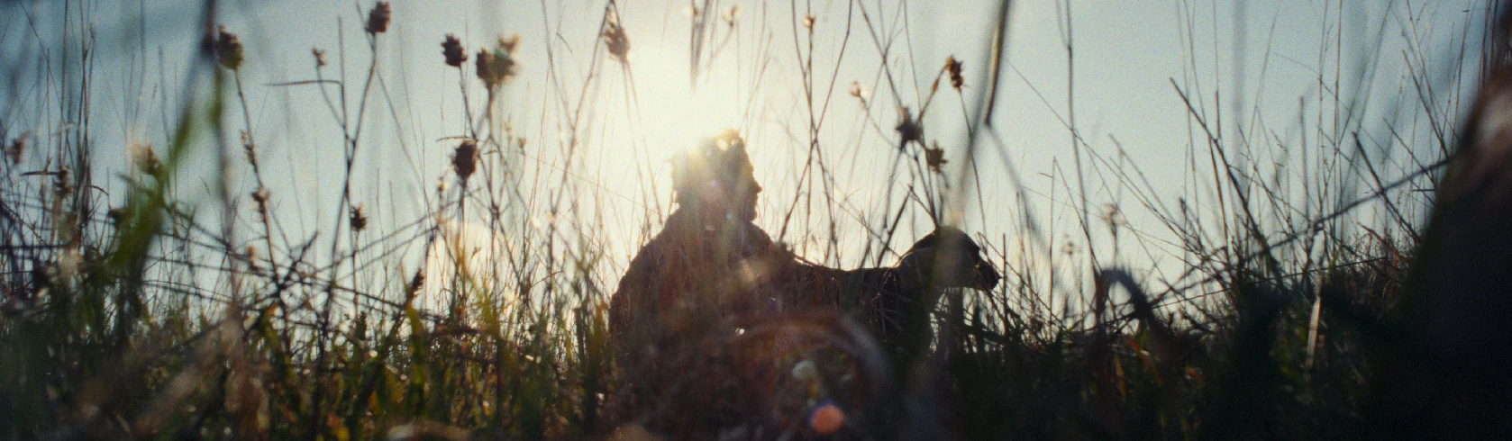 People sitting in a sunlit meadow.